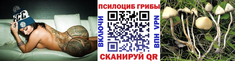 Псилоцибиновые грибы Cubensis  MEGA ссылки  Щёкино 